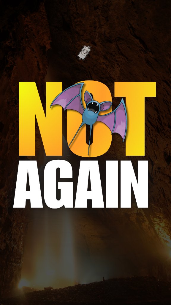 Zubat daily video