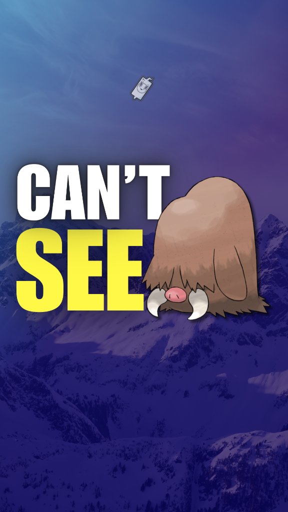 Piloswine daily video