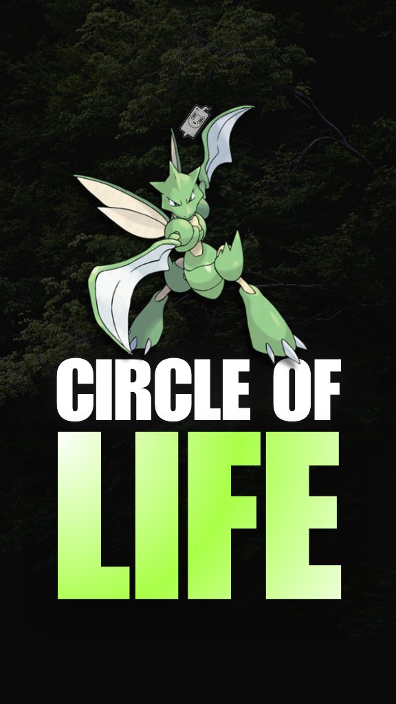 Scyther daily video