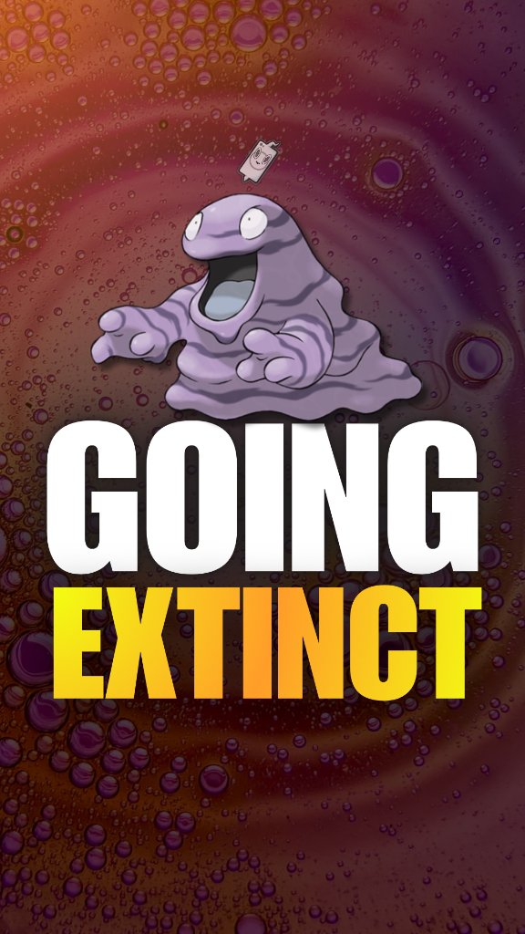 Grimer daily video