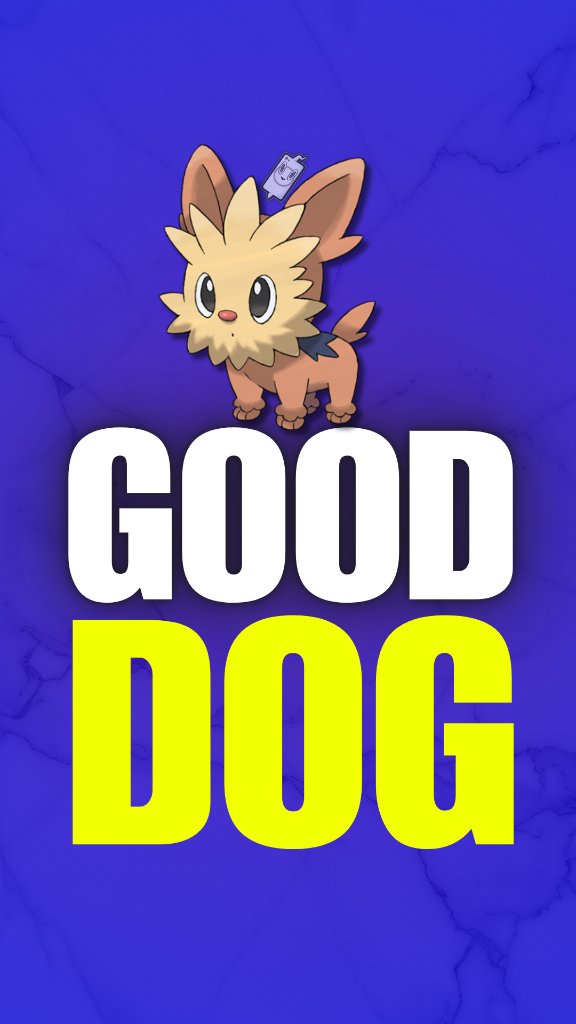Lillipup