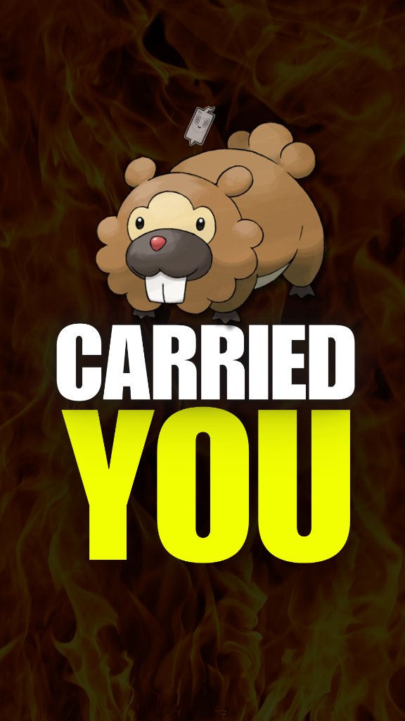 Bidoof daily video