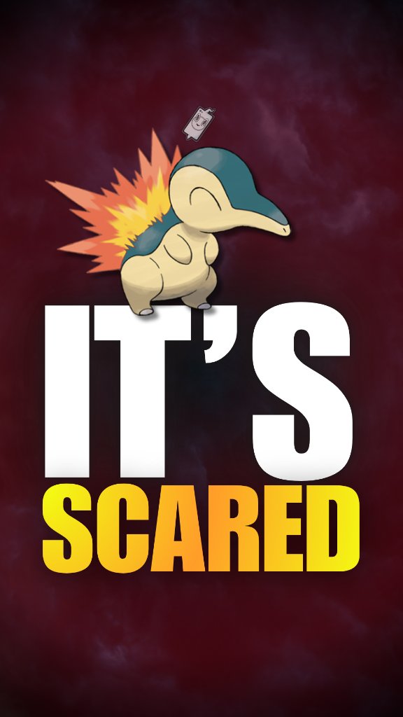 Cyndaquil daily video
