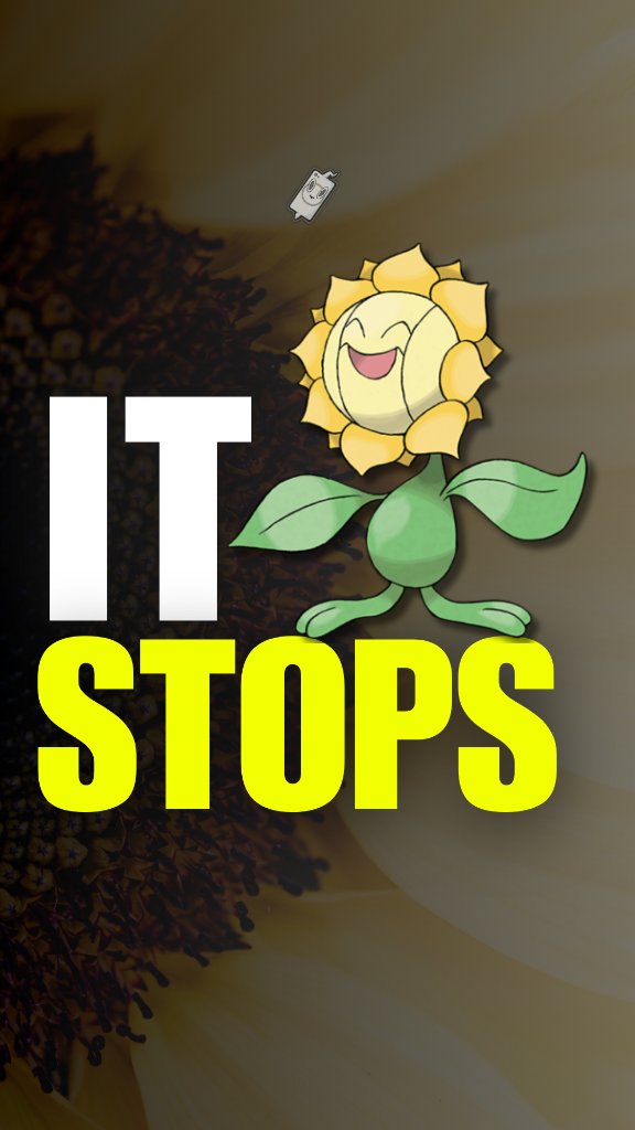 Sunflora daily video